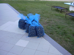 DSCN1972.JPG
